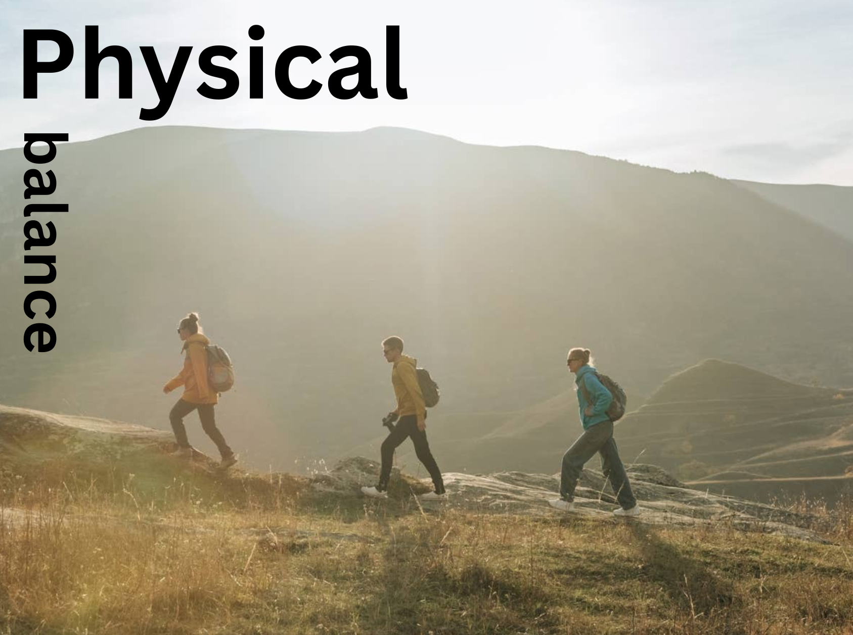 physical balance